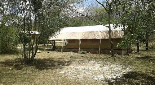 Enkolong Tented Camp Maasai Mara Kültér fotó